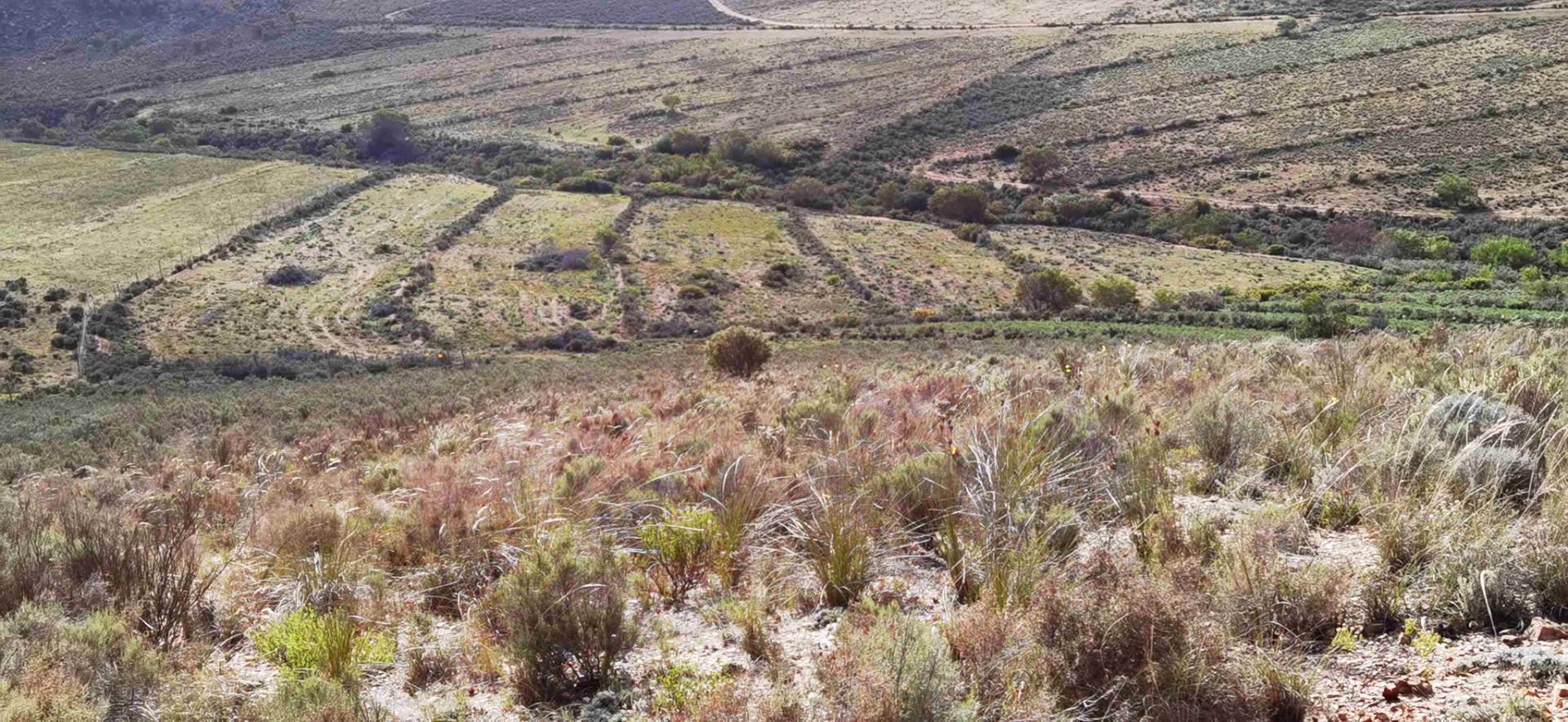 Commercial Property for Sale in Uniondale Rural Western Cape